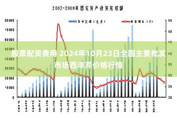 股票配资费用 2024年10月23日全国主要批发市场西洋芹价格行情