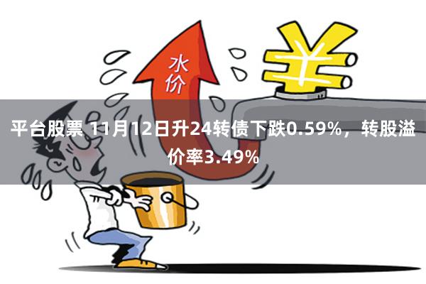 平台股票 11月12日升24转债下跌0.59%，转股溢价率3.49%