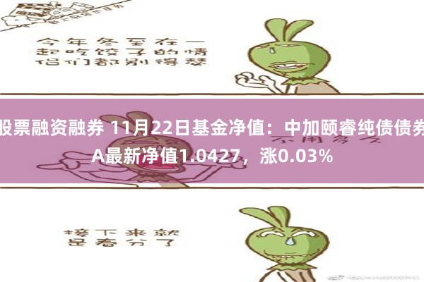 股票融资融券 11月22日基金净值：中加颐睿纯债债券A最新净值1.0427，涨0.03%