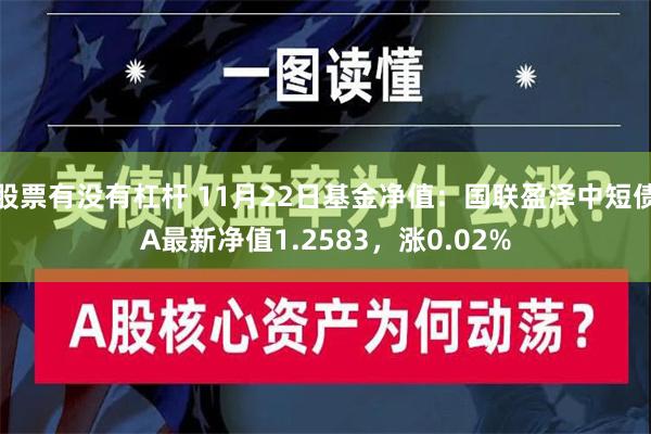 股票有没有杠杆 11月22日基金净值：国联盈泽中短债A最新净值1.2583，涨0.02%