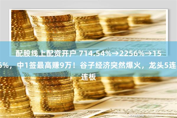 配股线上配资开户 714.54%→2256%→1516%，中1签最高赚9万！谷子经济突然爆火，龙头5连板