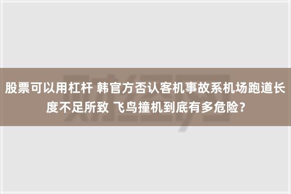 股票可以用杠杆 韩官方否认客机事故系机场跑道长度不足所致 飞鸟撞机到底有多危险？