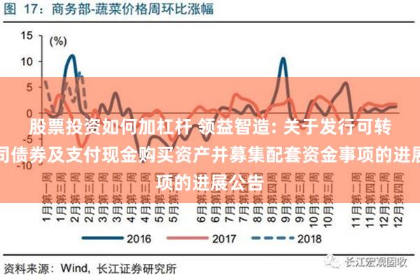 股票投资如何加杠杆 领益智造: 关于发行可转换公司债券及支付现金购买资产并募集配套资金事项的进展公告